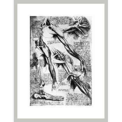 Drawing Studies of Arms Hands and Feet by Leonardo da Vinci -Framed Giclee Print