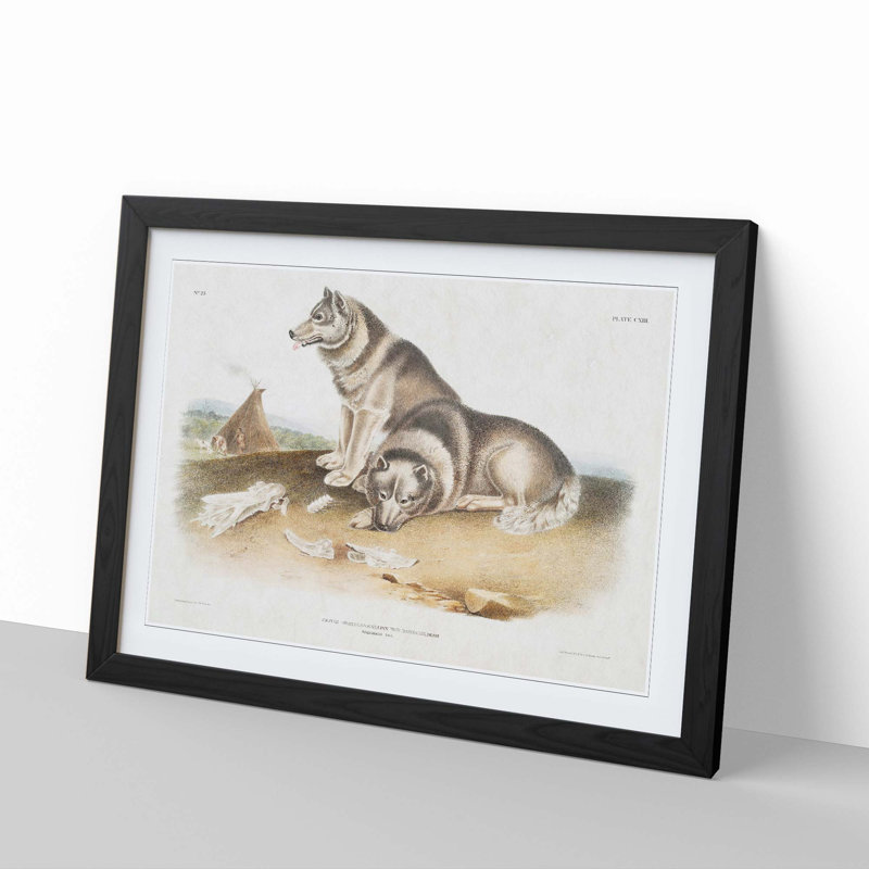 Eskimo Dog by J.W. Audubon - Picture Frame Painting Print, Black Framed, 36cm H x 48cm W x 2cm D