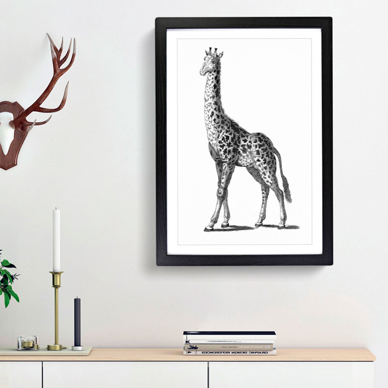 Giraffe in Black & White by George Shaw - Picture Frame Drawing Print, 48cm H x 36cm W x 2cm D, Black Framed