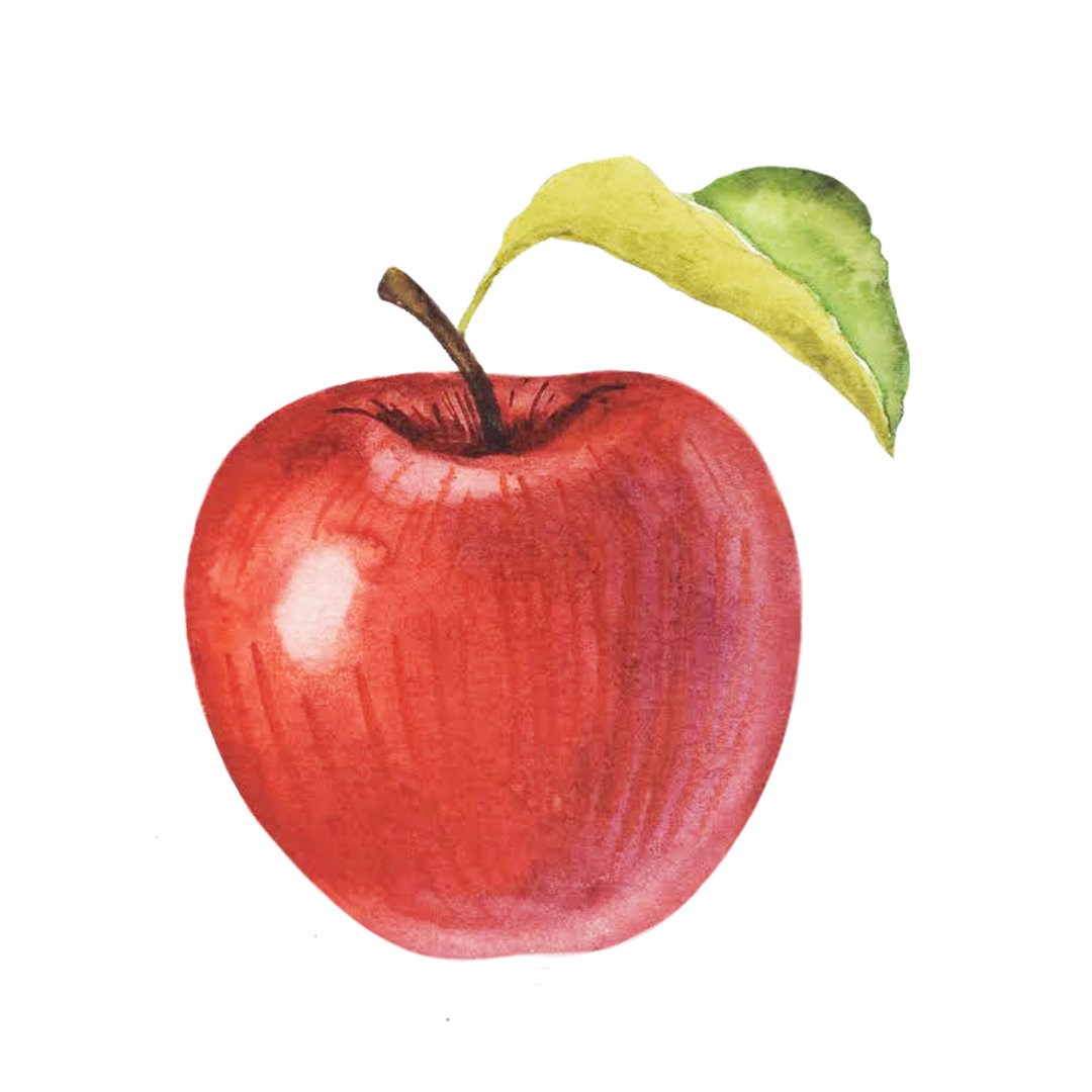 Roter Apfel in Aquarellfarben von Milaart - Leinwandgemälde