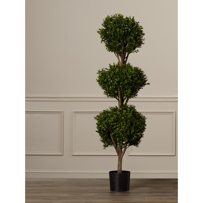 Boule topiaire en pot, H 60 po