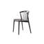 Newood Solid Wood Dining Chair-843247228