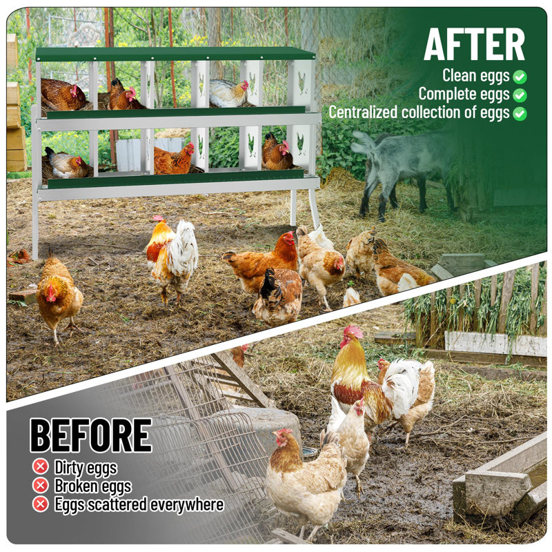 Boîte de nidification de poulet, 10 boîtes de nidification en métal pour poulailler, collection facile d'œufs, nettoyage facile, boîtes de ponte avec poules de support pour poules