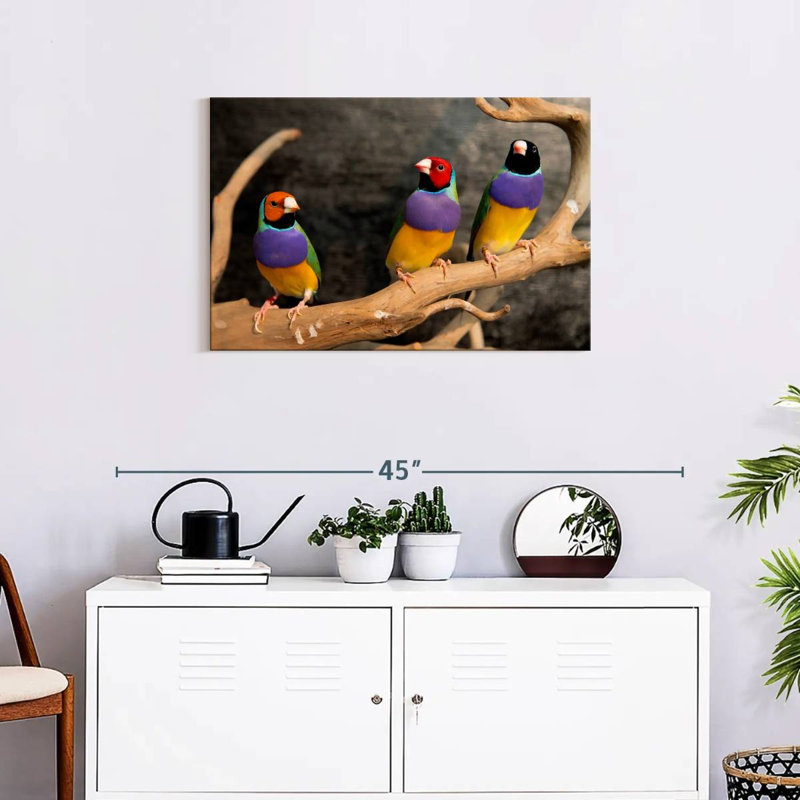 Rainbow Finches, 20" H x 30" W