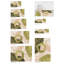 Desari Vinyl Machine Printed Area Rug-1856461127