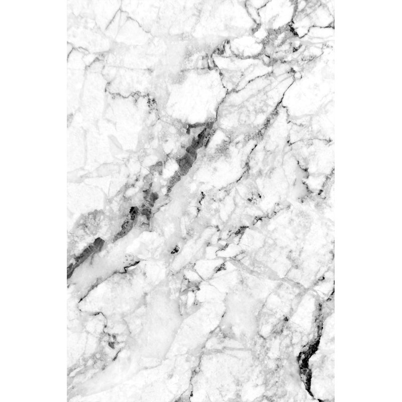 Antibacterial Hall Carpet (2.6 x 6.6 Ft) | 100% Polyester, 0.4 in Pile Height | Non-Slip PVC Dot Underside, Machine Washable | 3D Digital Printing, Durable & Stylish for Entryways, Living Rooms & More