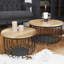 Arcanum Solid Coffee Table with Storage