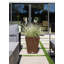 Pure Series Nobleton Planter-53236034-20733623-20733622