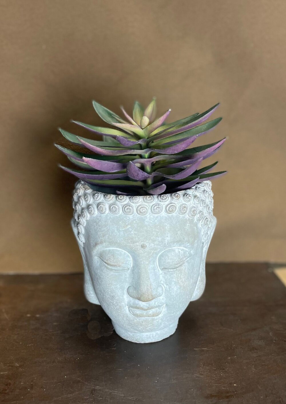 Bungalow Rose Kyza Cement Wall Planter | Wayfair