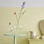 Grande bouteille Bod-102042444-102042450