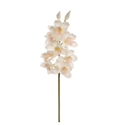 Orchidée Quiroz
