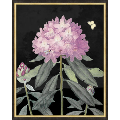 Poetic Botanicals 1 Print by Lillian August