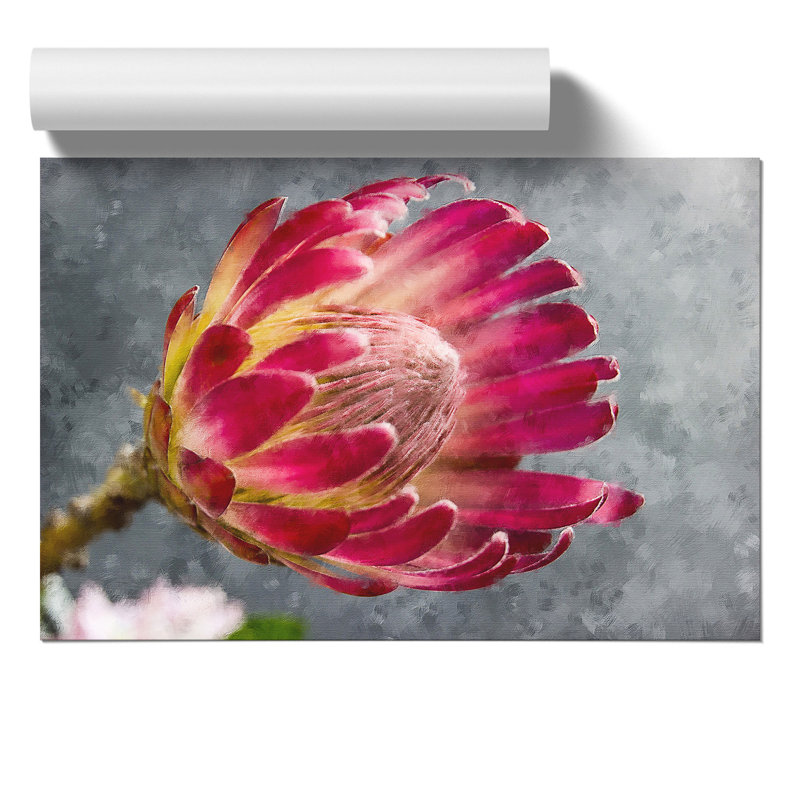 Pink Protea Flower Painting - Frameless Print, 42cm H x 59cm W x 0.1cm D