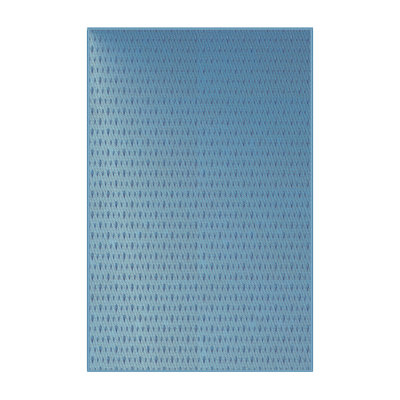 Indoor Rug
