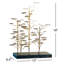 Eucalyptus Tree