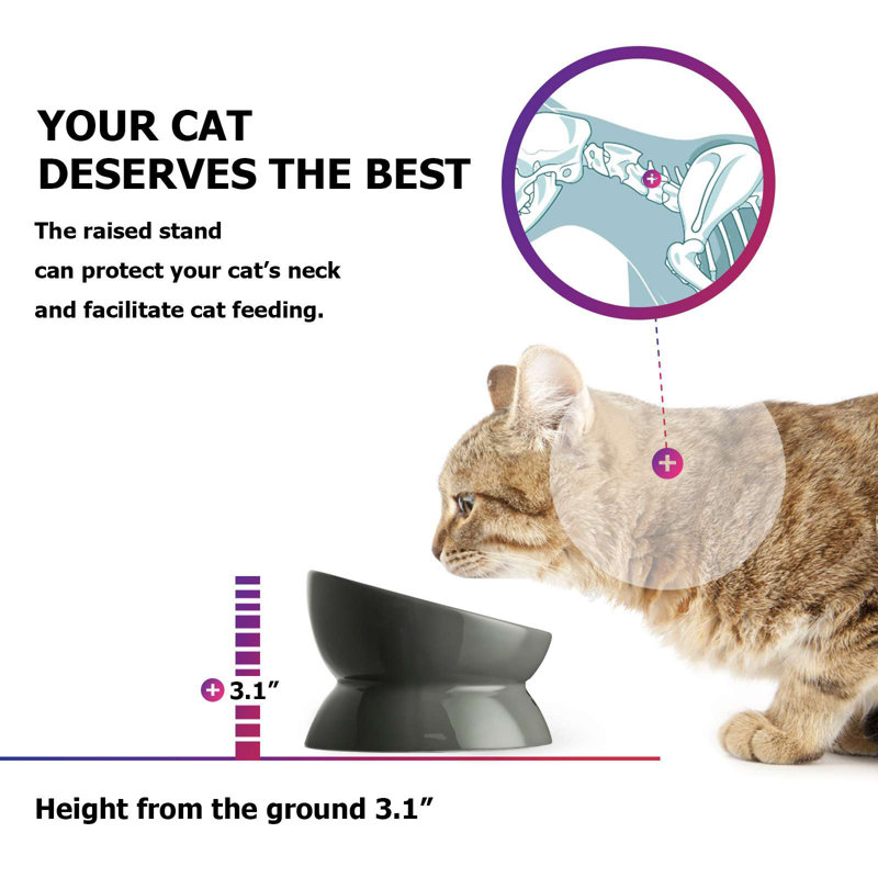 Bol surélevé pour chat, Bleu, 5.1"