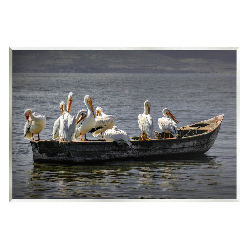 «Pelican Pelican on Floating Lake Boat» par David Lorenz, H 10 po x l 15 po x P 0,5 po