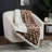 Lavish Home Sherpa Fleece Throw Blanket - 50x60-Inch Machine-Washable Reversible Throw - Fluffy Blankets for Couch, Chair, or Bed (Giraffe)
