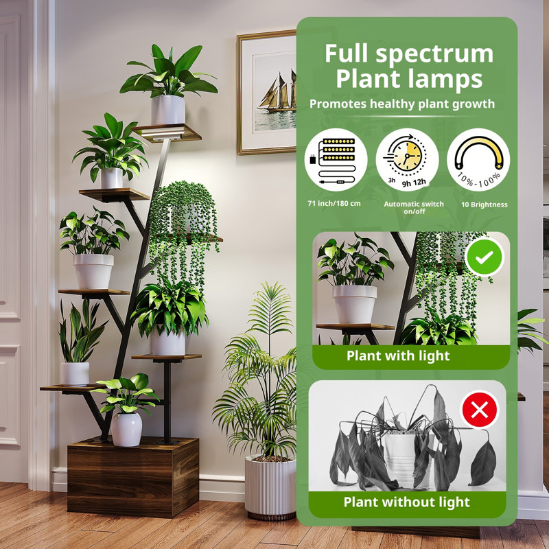 Plant Stand - Set of 2
