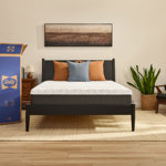 Sealy to Go 12” Medium Memory Foam Mattress in a Box