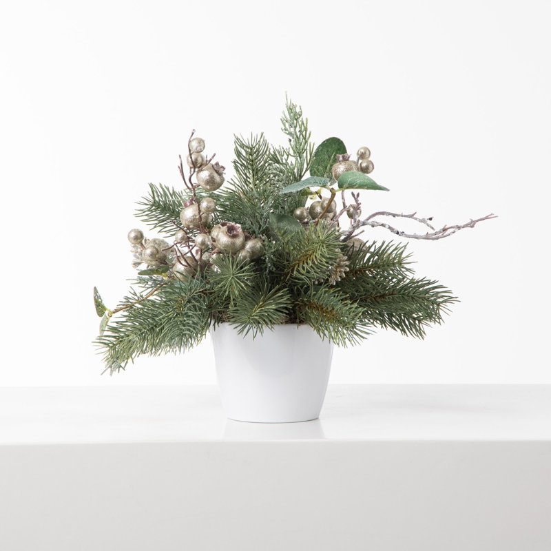 Arrangement floral d'eucalyptus en pot