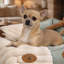 Rural Retreats Faux Fur Pet Blanket