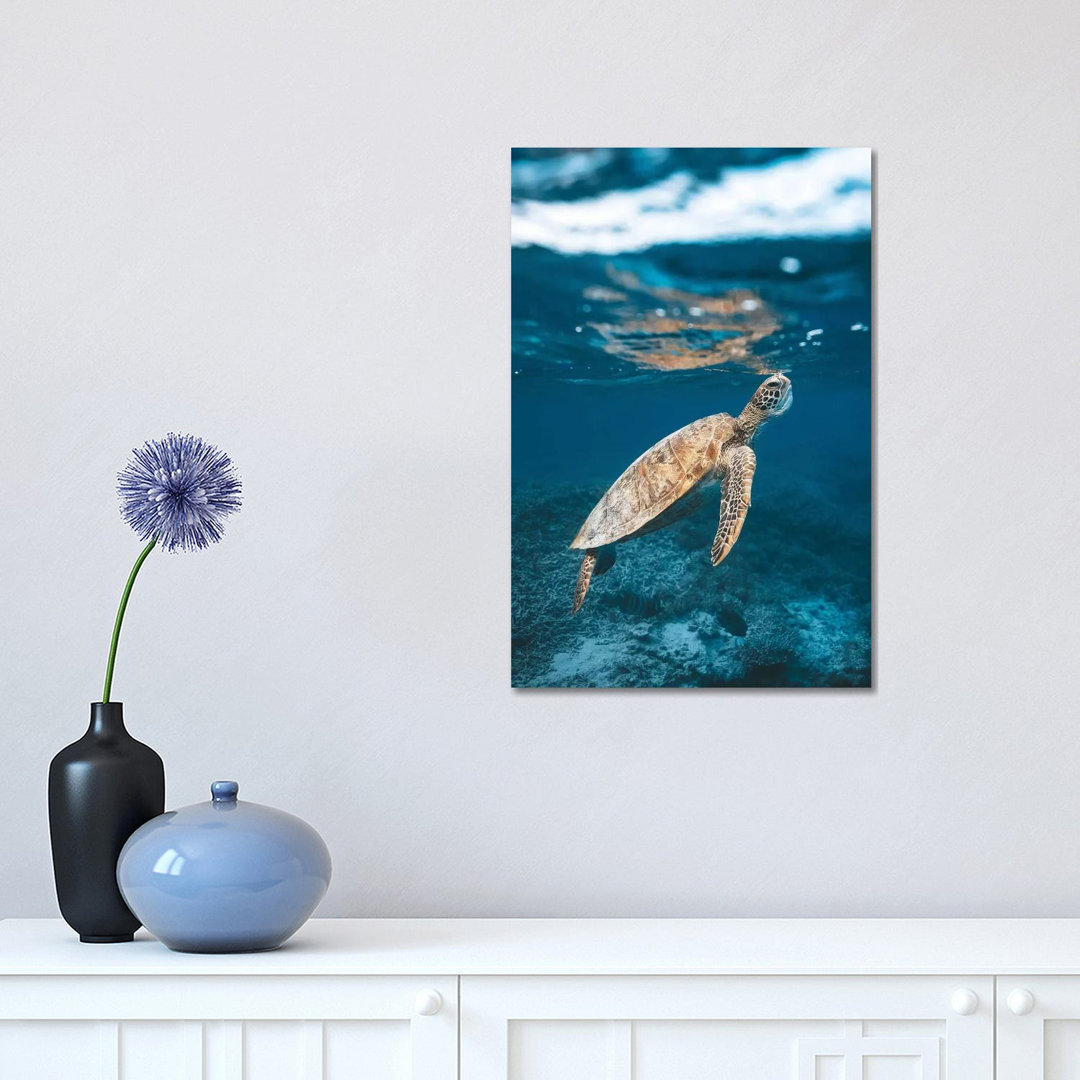Great Barrier Reef Turtle Underwater by James Vodicka - Wrapped Canvas Gallery-Wrapped Canvas Giclée