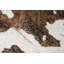 Animal Print Area Rug-1478785940-1478785941