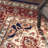 Clarence Indoor Rug-1566890527
