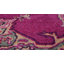 Tapis oriental rose Colfin-22568258