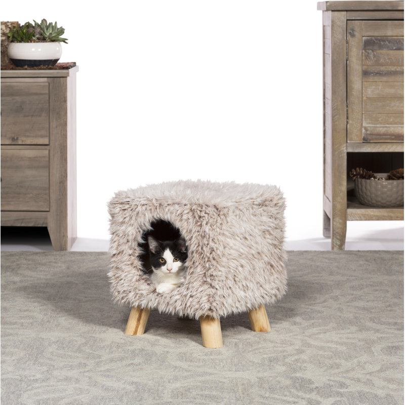 Habitation pour chat 14 "Bojorquez Kitty Power Paws