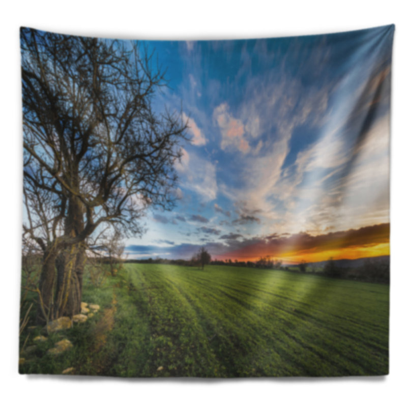 Tapisserie bleu ciel de pâturage vert landscape, H 32 po x l 39 po