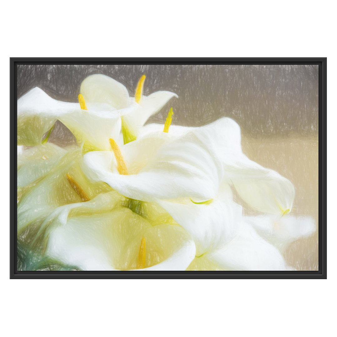 Gerahmtes Poster Beautiful White Calla Lilies