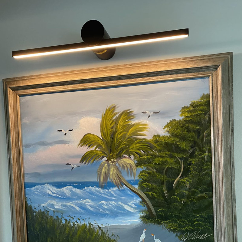 23" Matte Black Picture Light