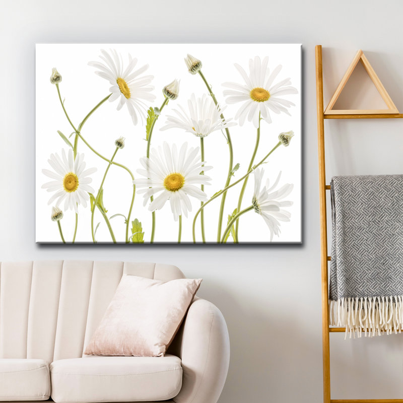 Ox Eye Daisies - Reproduction de photo sur toile tendue, H 12 po x l 16 po x P 1,5 po