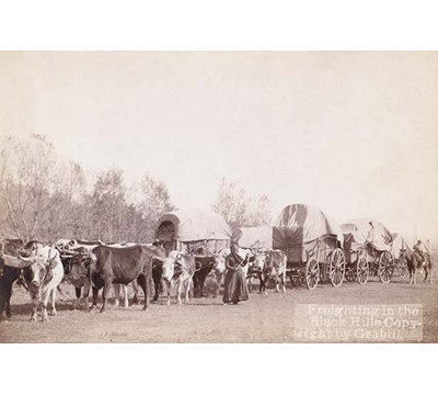 " Freighting In The Black Hills " by John C.H. Grabill