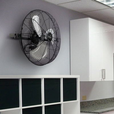 Vie 21" Wall Mounted Fan