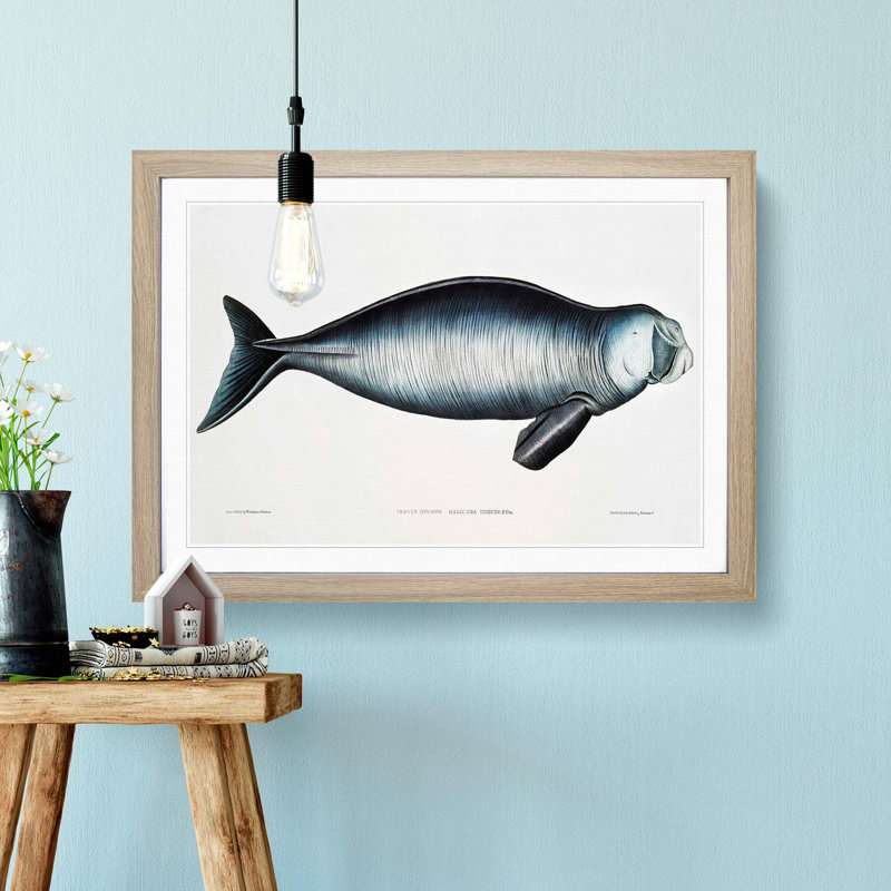 Indian Dugong by John Edward Gray - Framed Print, 36cm H x 48cm W x 2cm D, Oak Framed