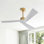 Ventilateur de plafond CC 52 po avec télécommande Breeleigh, ventilateur de plafond intérieur, 3 pales en ABS