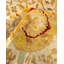 Classic One-of-a-Kind 6' 1" X 9' 0" Hand Knotted Area Rug