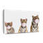 Bubble Gum Tigers sur toile-1323642813