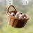 Bay Isle Home™ Polyethylene Plastic Decorative Basket