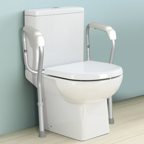Winston Brands Toilet Safety Frame & Reviews | Wayfair