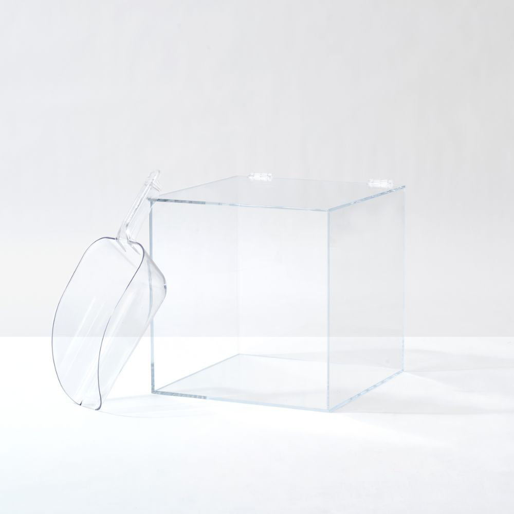 https://assets.wfcdn.com/im/62967502/compr-r85/2646/264622976/clear-acrylic-pet-food-storage-box-with-lift-top.jpg