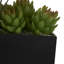 Faux plante grasse en pot de mélamine 6,5 po Bayviewpark