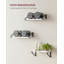 Diya 3 Piece Bracket Shelf-1022065769