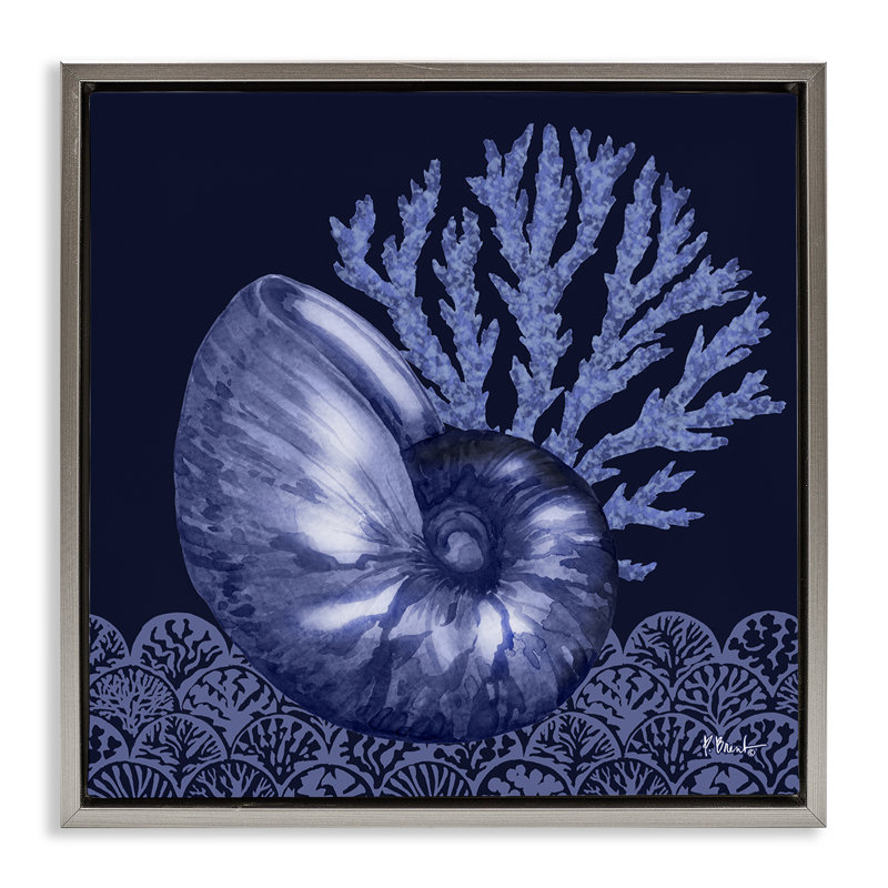  «Shadow Nautilus Shell Floater» par Paul Brent, H 25 po x l 25 po, Cadre flottant gris lustré
