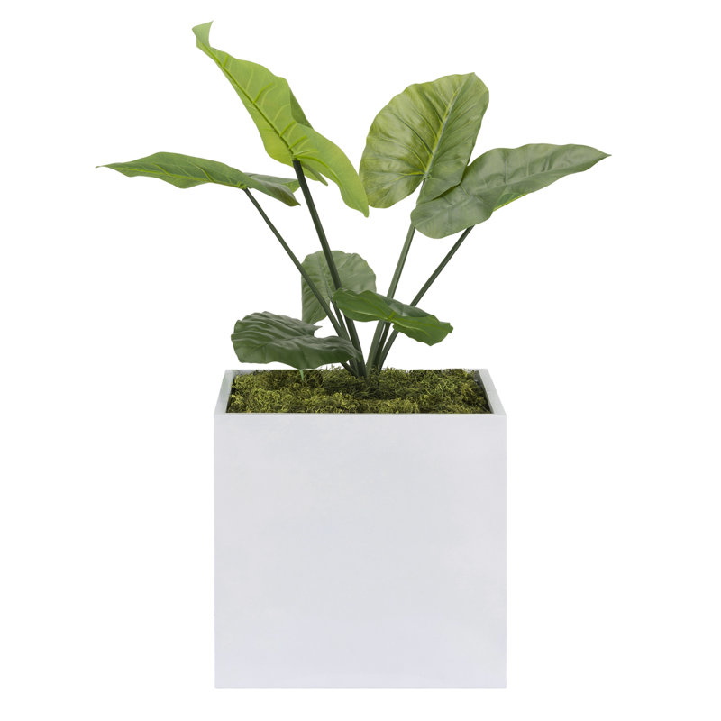 Lorsworth Planter Box, White, 24" H x 24" W x 24" D
