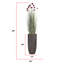 68'' Faux Pampas Grass Plant in Fiberstone Planter