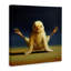 Yoga Chicks Firefly Pose, peinture de ferme-105386036-105386038